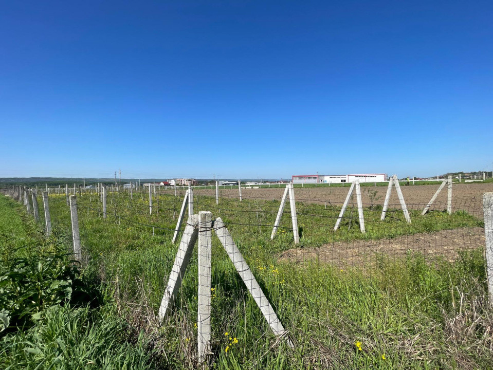 Teren intravilan agricol 6215mp cu utilități în Răcari, jud. Dolj