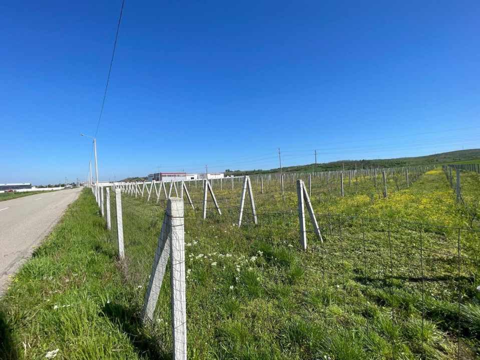 Teren intravilan agricol 6215mp cu utilități în Răcari, jud. Dolj