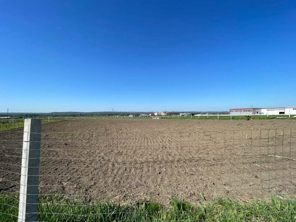 Teren intravilan agricol 6215mp cu utilități în Răcari, jud. Dolj