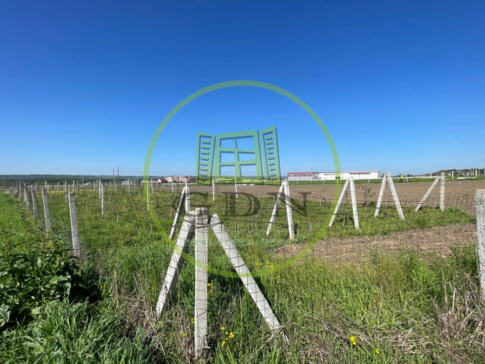 Teren intravilan agricol 6215mp cu utilități în Răcari, jud. Dolj