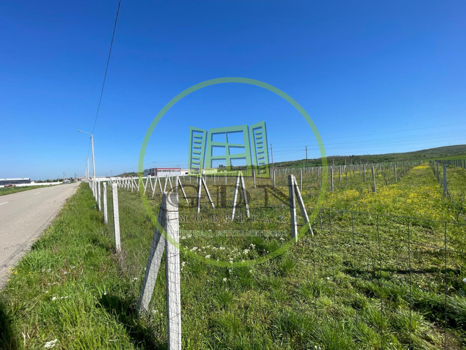 Teren intravilan agricol 6215mp cu utilități în Răcari, jud. Dolj