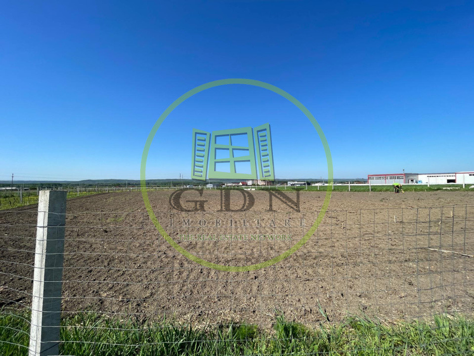 Teren intravilan agricol 6215mp cu utilități în Răcari, jud. Dolj