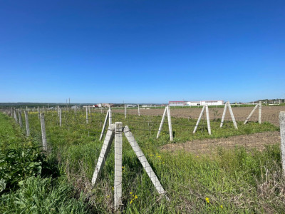 Teren intravilan agricol 6215mp cu utilități în Răcari, jud. Dolj