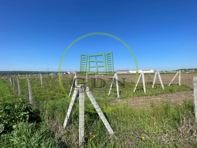 Teren intravilan agricol 6215mp cu utilități în Răcari, jud. Dolj