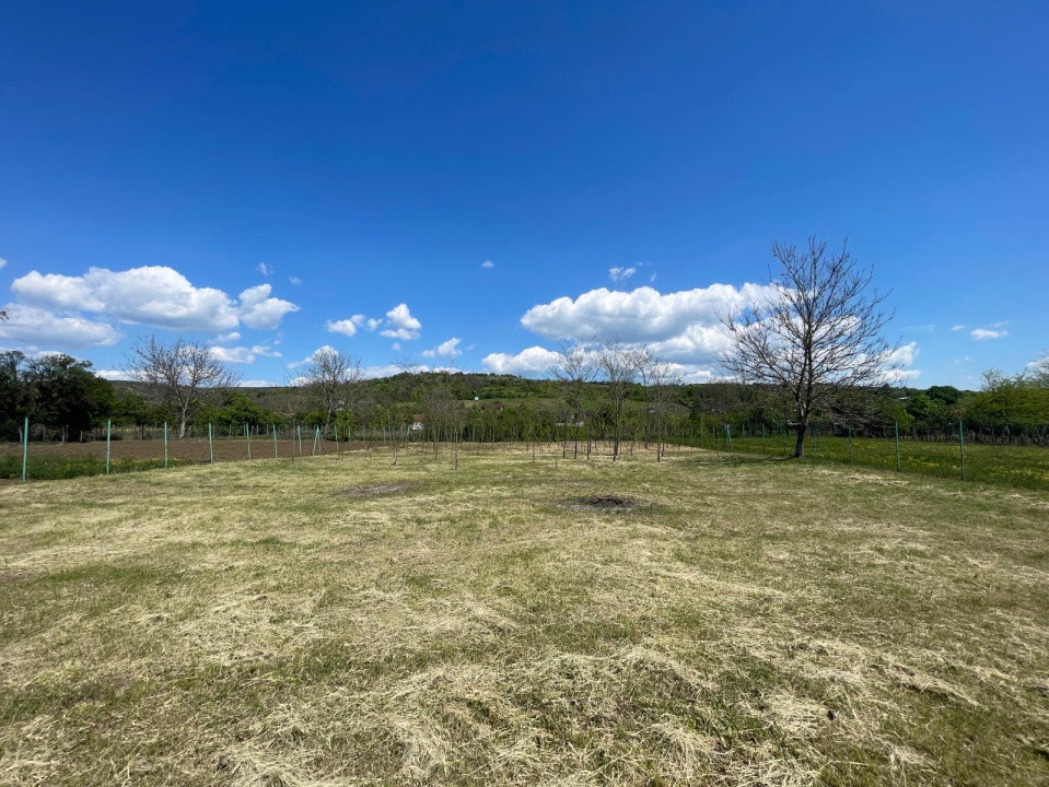 Teren intravilan construcții 1218mp în Mogoșești - Șimnicu de Sus