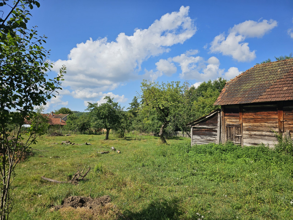 Teren intravilan - construcții, Suprafață 5.200 mp, Vărzarii de Jos