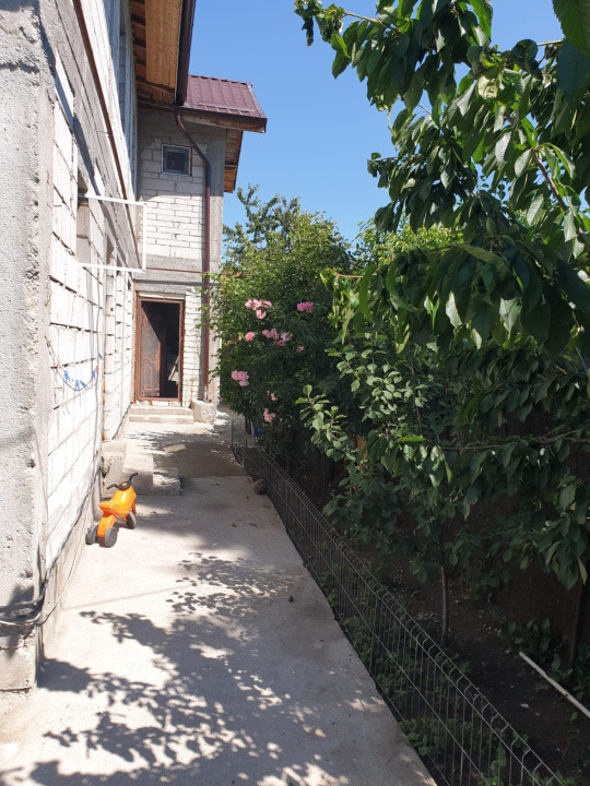 Colentina l Vila Individuala l Semifinalizata