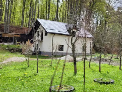 Casa de vacanță, Valea Avrigului, jud. Sibiu