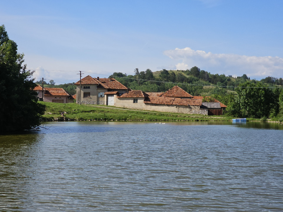 Casă la țară cu 3 camere + teren intravilan Sup 962 mp, Colești, Bihor