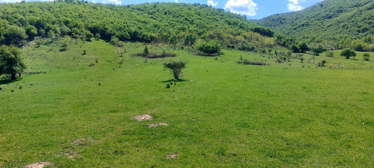 Teren extravilan 3408 mp in Gura Raului