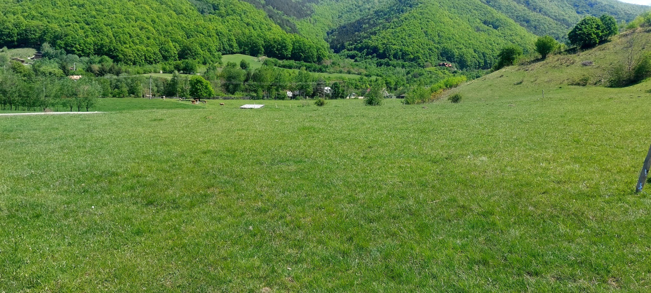 Teren extravilan 3408 mp in Gura Raului