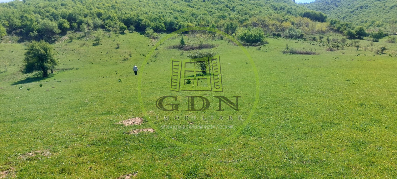 Teren extravilan 3408 mp in Gura Raului