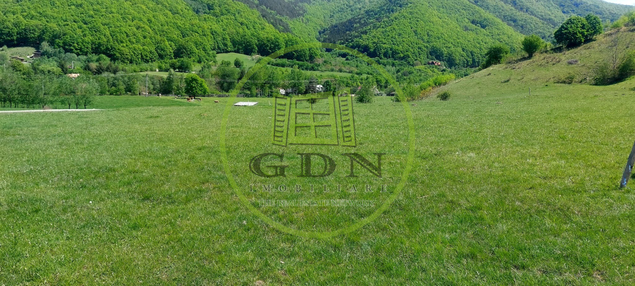 Teren extravilan 3408 mp in Gura Raului