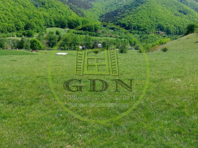 Teren extravilan 3408 mp in Gura Raului