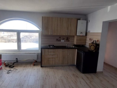 Apartament 2 camere 55mp cu curte spre inchiriere Calea Cisnadiei