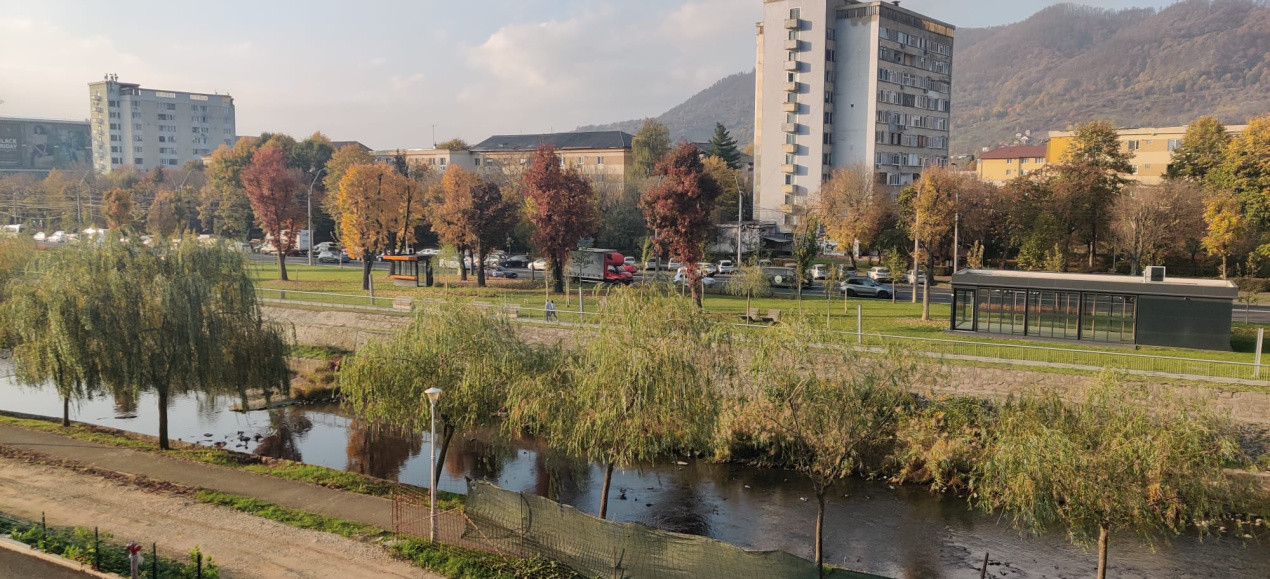 Apartament doua camere zona VIVO