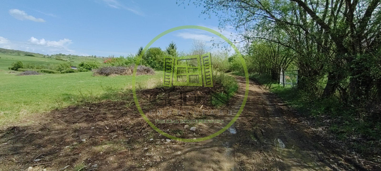 Teren extravilan 2.500 mp – Cisnădie - ideal pentru dezvoltare - Parcelabil