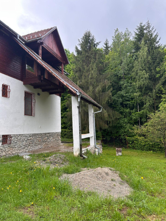 🌲 Duplex deosebit cu vedere panoramică spre munți și pădure – Tocile, Sadu 🏡