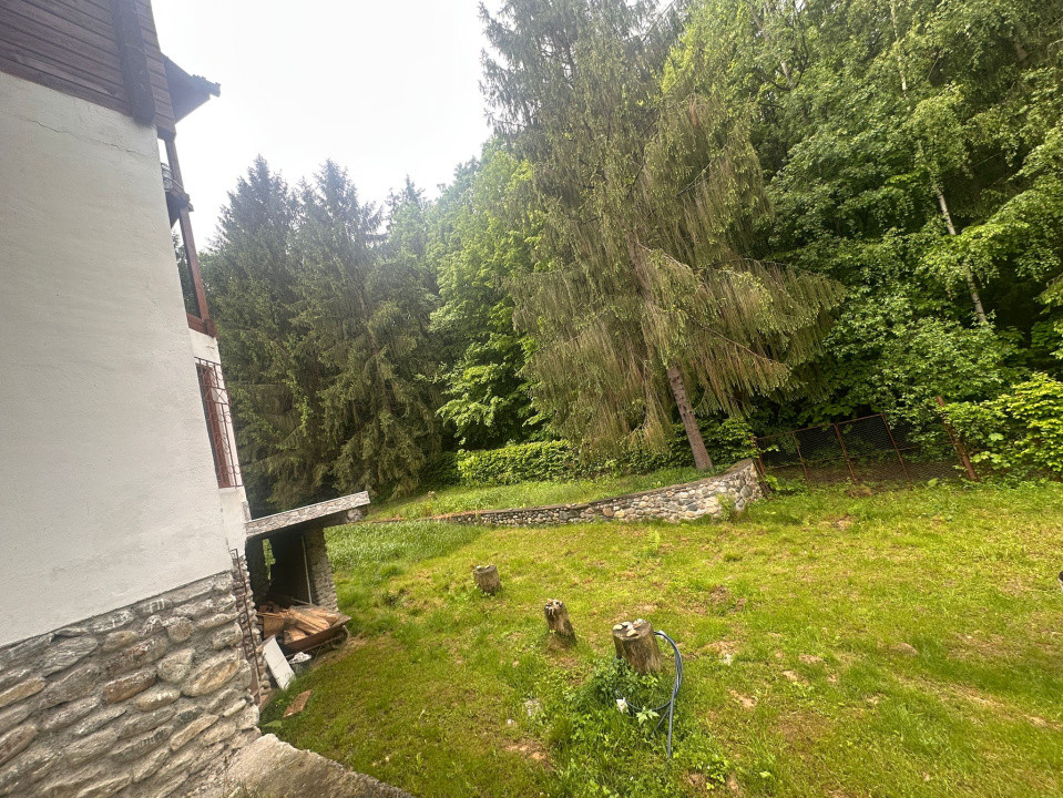 🌲 Duplex deosebit cu vedere panoramică spre munți și pădure – Tocile, Sadu 🏡