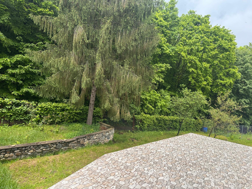 🌲 Duplex deosebit cu vedere panoramică spre munți și pădure – Tocile, Sadu 🏡