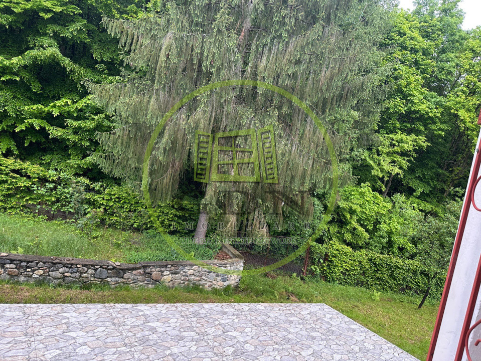 🌲 Duplex deosebit cu vedere panoramică spre munți și pădure – Tocile, Sadu 🏡