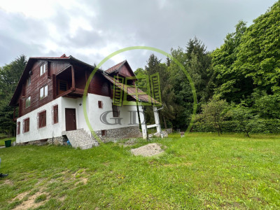 🌲 Duplex deosebit cu vedere panoramică spre munți și pădure – Tocile, Sadu 🏡