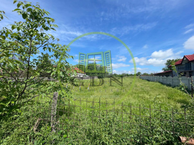 Teren intravilan 2900mp cu deschidere de 30m si cu toate utilitatile in Carcea