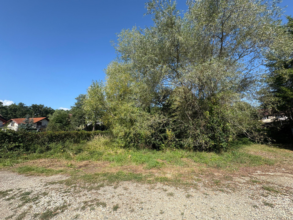 Teren intravilan de vânzare | 617 mp | zona Pădurea Dumbrava 