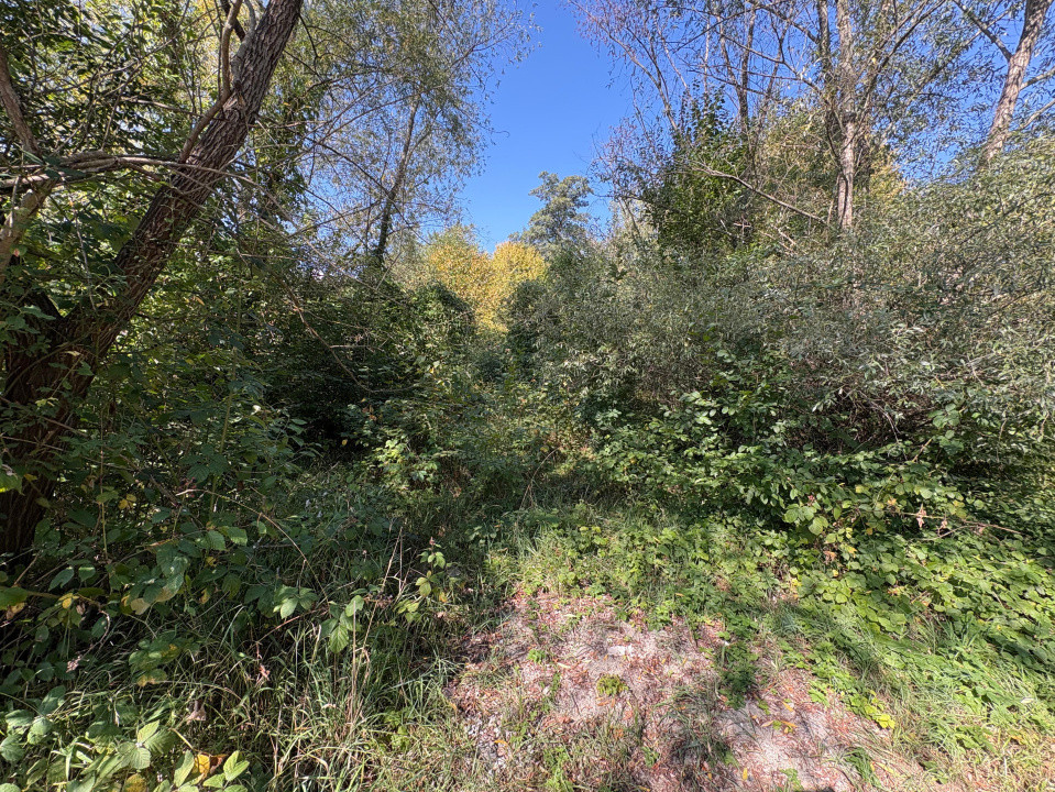 Teren intravilan de vânzare | 617 mp | zona Pădurea Dumbrava 