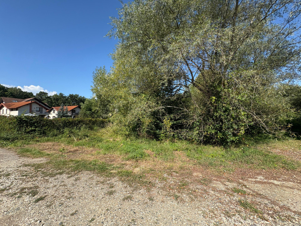Teren intravilan de vânzare | 617 mp | zona Pădurea Dumbrava 