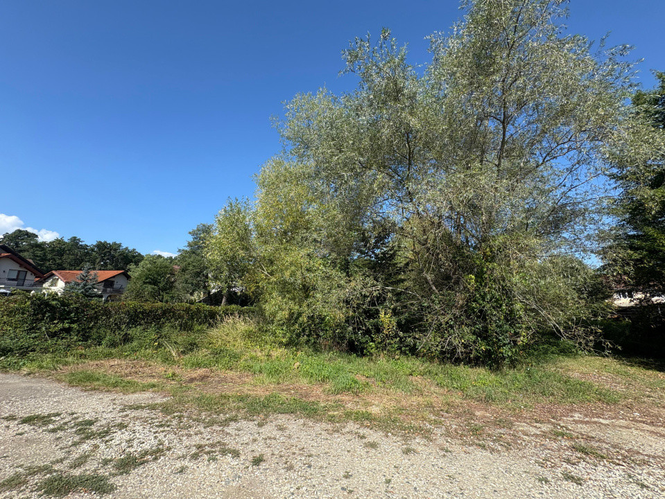 Teren intravilan de vânzare | 617 mp | zona Pădurea Dumbrava 