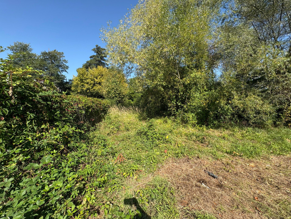 Teren intravilan de vânzare | 617 mp | zona Pădurea Dumbrava 