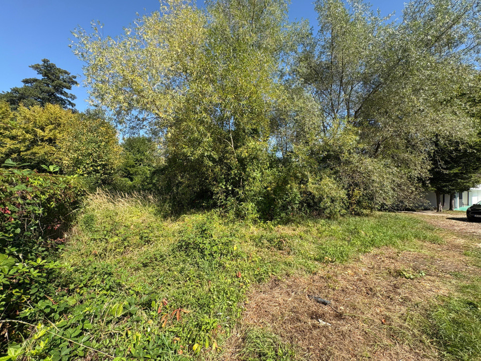 Teren intravilan de vânzare | 617 mp | zona Pădurea Dumbrava 