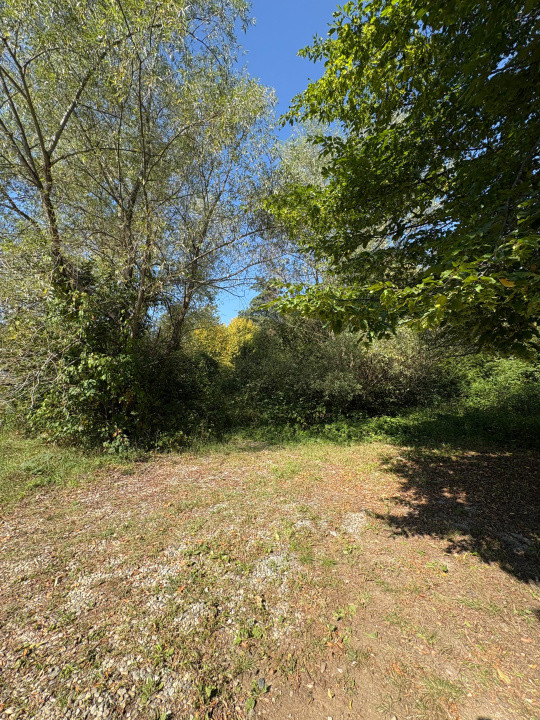 Teren intravilan de vânzare | 617 mp | zona Pădurea Dumbrava 