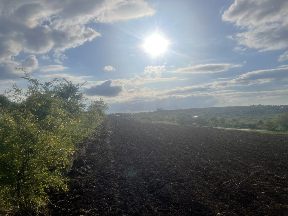 Vând Teren Intravilan, 2500 mp ,Zona Daia
