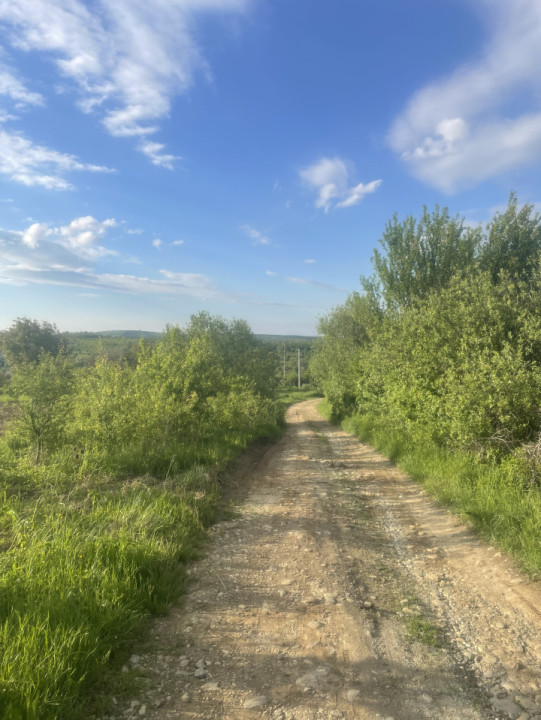 Vând Teren Intravilan, 2500 mp ,Zona Daia