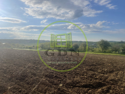 Vând Teren Intravilan, 2500 mp ,Zona Daia