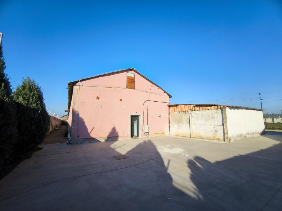 Hală industrială - producție / depozitare, suprafață utilă 517 mp, Palota