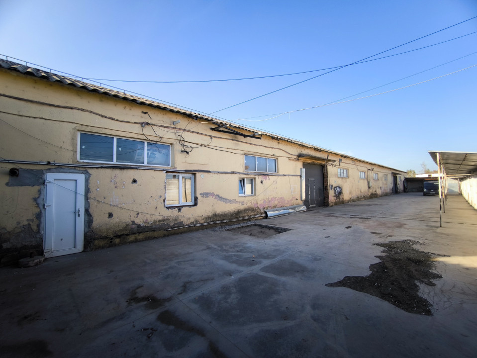 Hală industrială - producție / depozitare, suprafață utilă 517 mp, Palota