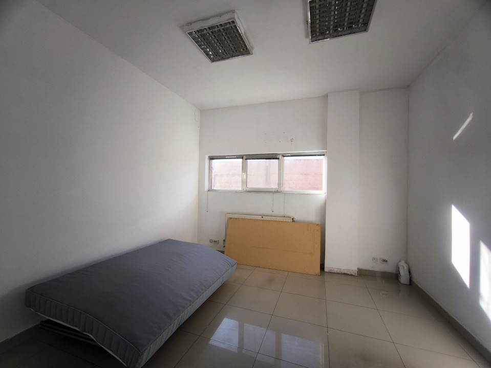 Hală industrială - producție / depozitare, suprafață utilă 517 mp, Palota