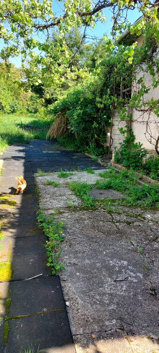 Casa 7 camere suprafata utila 300mp, teren 1000mp,spre vanzare in Cisnadie