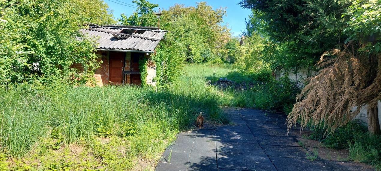 Casa 7 camere suprafata utila 300mp, teren 1000mp,spre vanzare in Cisnadie