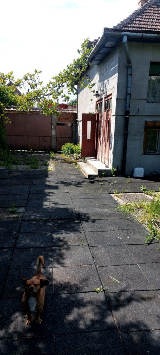 Casa 7 camere suprafata utila 300mp, teren 1000mp,spre vanzare in Cisnadie
