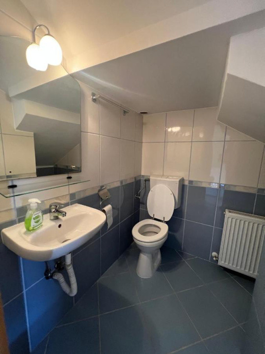 Casă + anexă de vânzare în Șura Mică – 115 mp, regim hotelier activ pe Booking