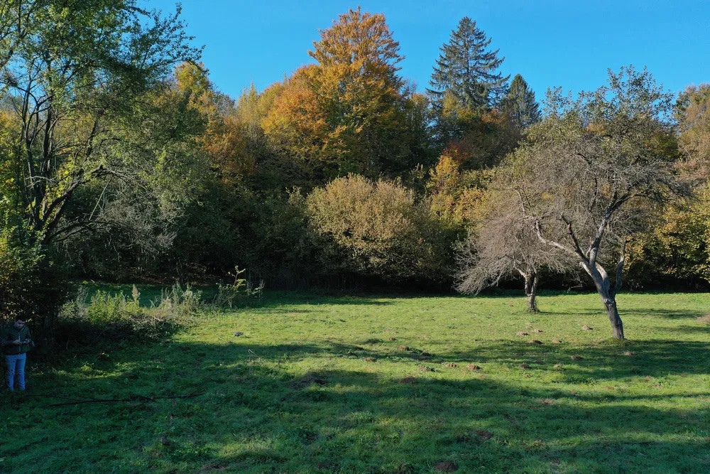 Teren intravilan | 1300 mp | de vânzare- Valea Avrigului 