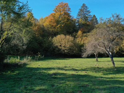 Teren intravilan | 1300 mp | de vânzare- Valea Avrigului 
