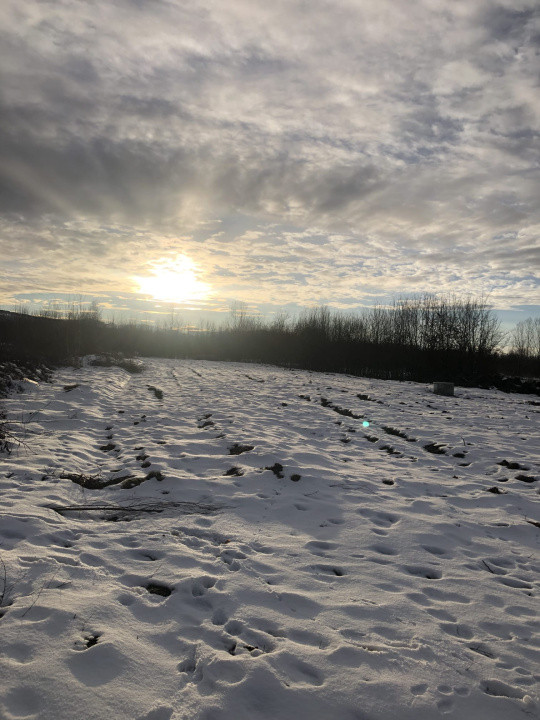 Teren intravilan | 2000 mp | de vânzare- Valea Avrigului