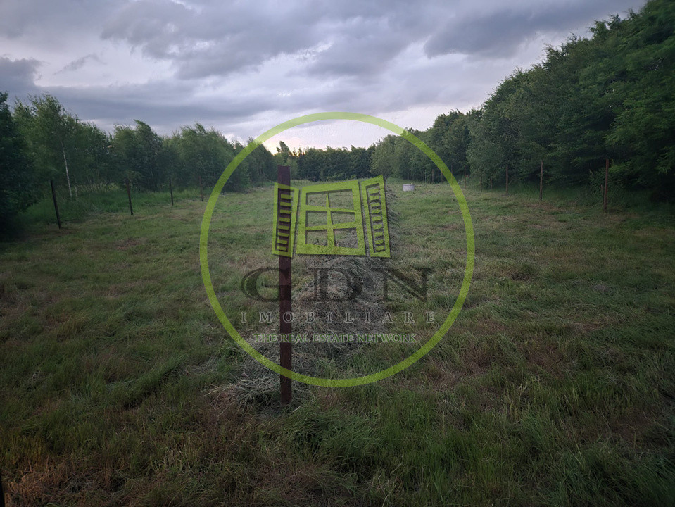 Teren intravilan | 2000 mp | de vânzare- Valea Avrigului