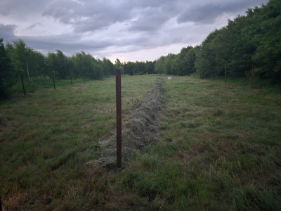 Teren intravilan | 2000 mp | de vânzare- Valea Avrigului
