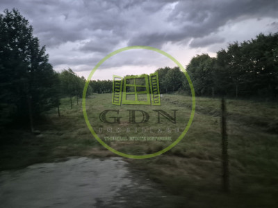 Teren intravilan | 2000 mp | de vânzare- Valea Avrigului